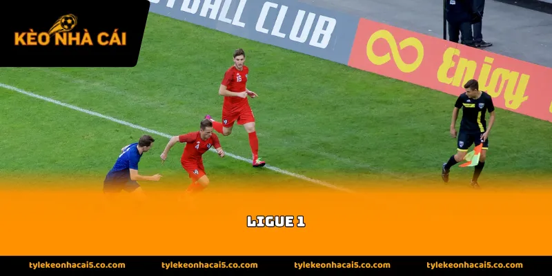 Lịch sử hình thành của giải đấu Ligue 1
